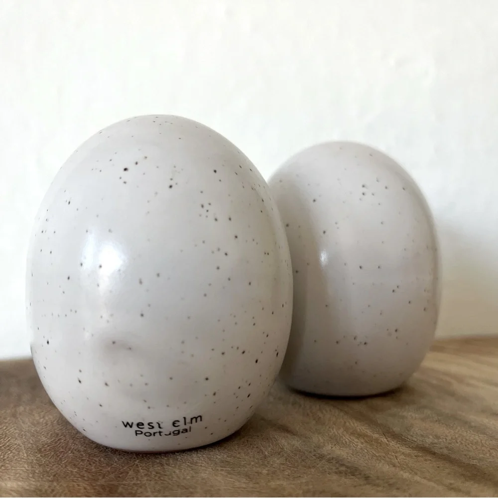 West Elm speckled egg ceramic salt and pepper shakers